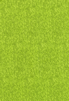 Grass Fresh Green